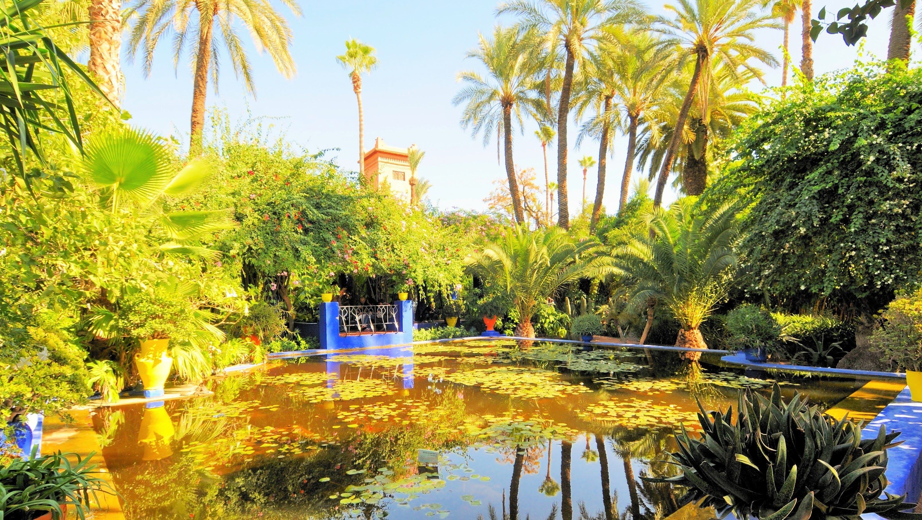 the-best-of-marrakech-full-day-tour-with-lunch