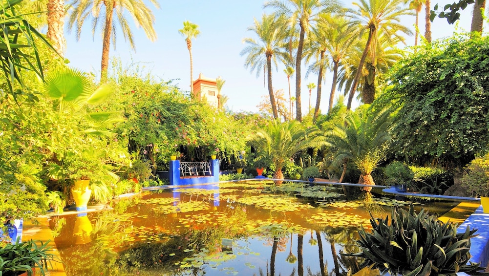 The Best of Marrakech Full-Day Tour with Lunch