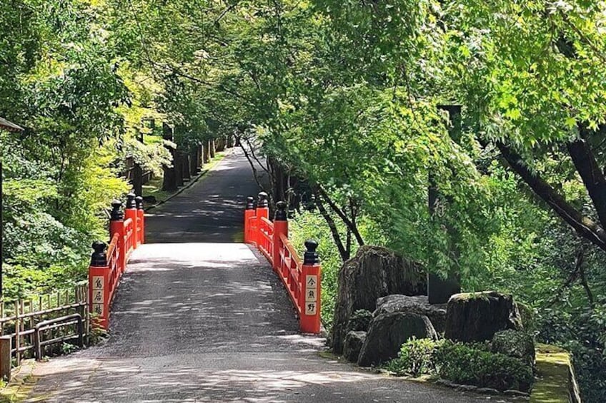 Sennyuuji in Summer