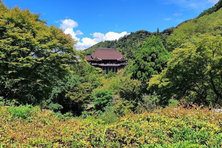 Kiyomizu-dera in Summer