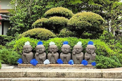 Kyoto Off The Beaten Path : Hidden Zen Garden & Magical Shrine