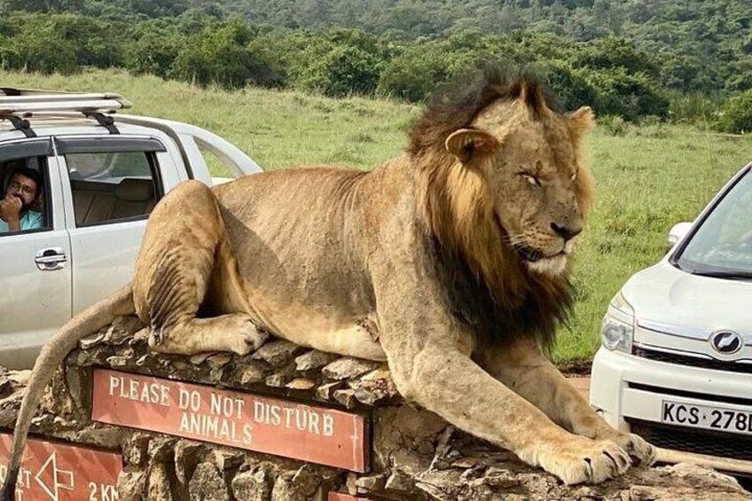  Nairobi National Park & Giraffe Centre