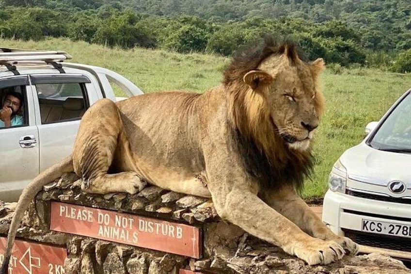 Nairobi National Park & Giraffe Centre