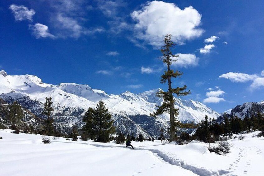 Annapurna Circuit Trek