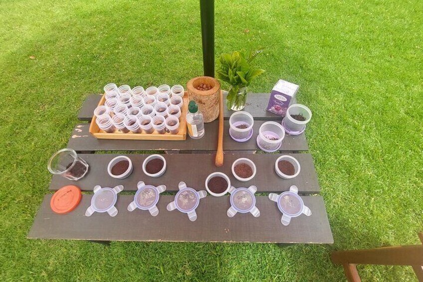 Tea Farm Tour from Nairobi