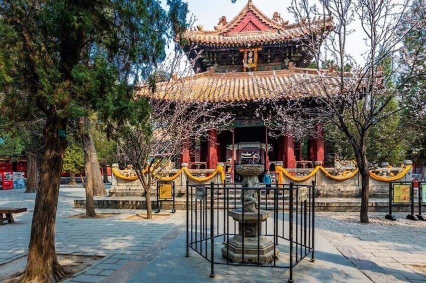 Qufu Private Walking Tour to Confucius Temple, Kong Mansion and Forest
