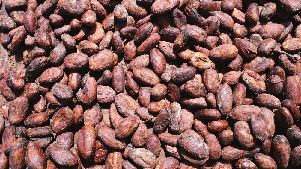 View of spices and herbs in Grenada 