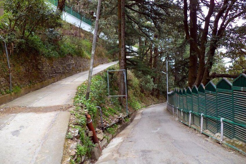 Heritage & Cultural 2 Hour Shimla Walking Tour