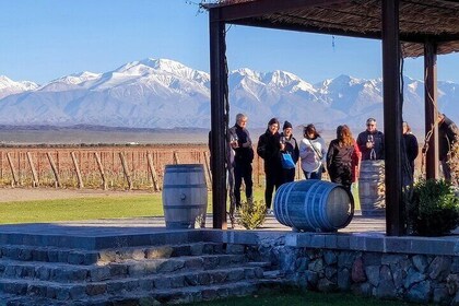 Knowing the land of Malbec, tasting wine and lunch in Luján de Cuyo