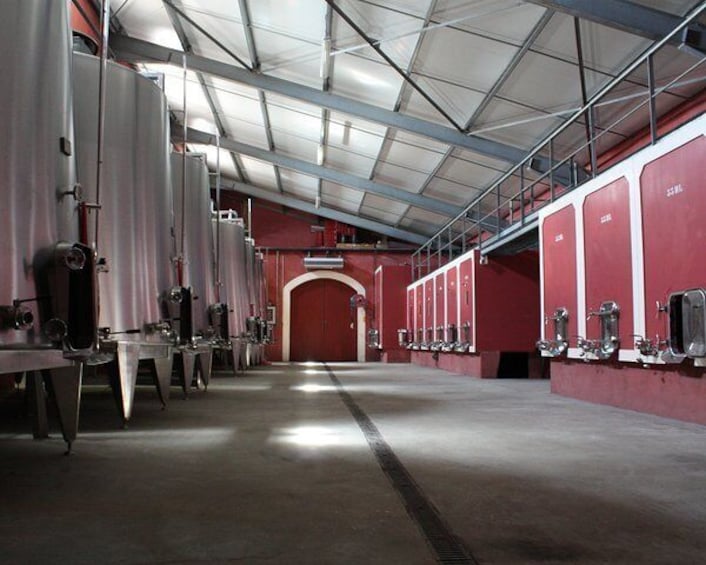 Château de la Selve - The vat room