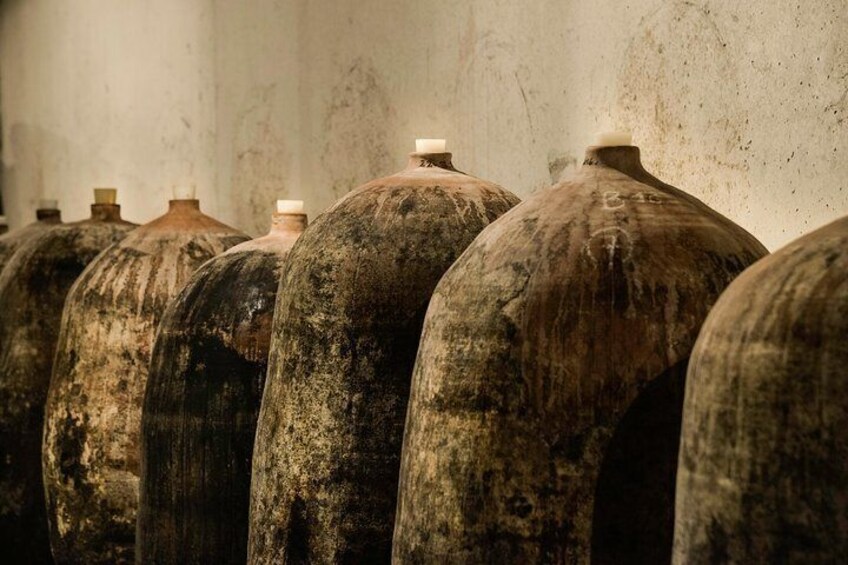 Castle of Selve - The amphoras