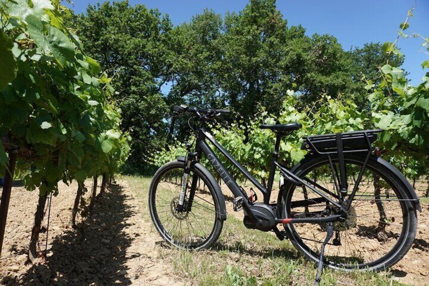 Treasure/paper hunt by e bike from Vaison la Romaine