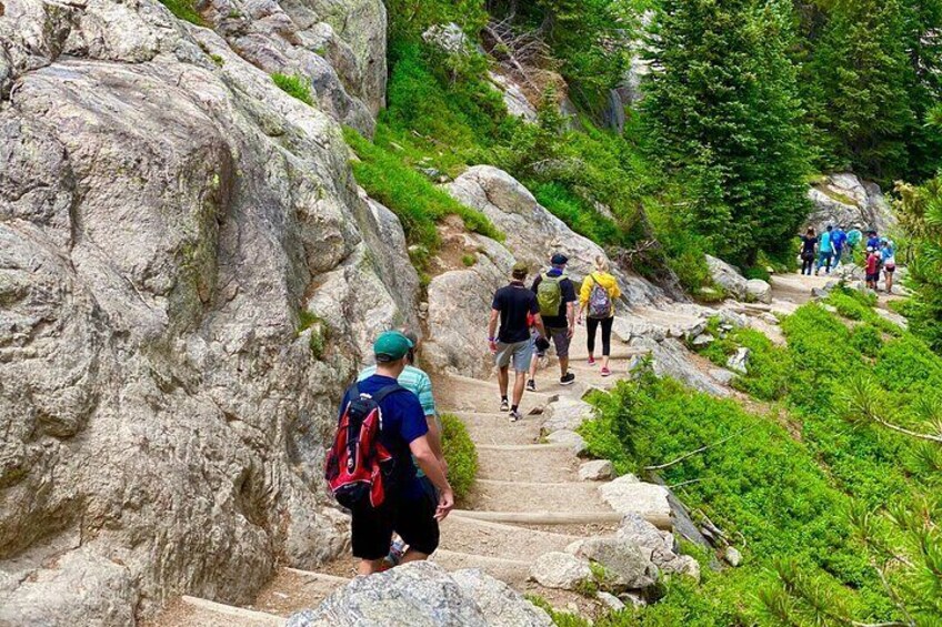 Rocky Mountain National Park Tour from Denver