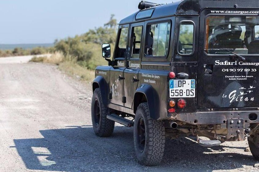 Camargue Le Gitan 4x4 Safari