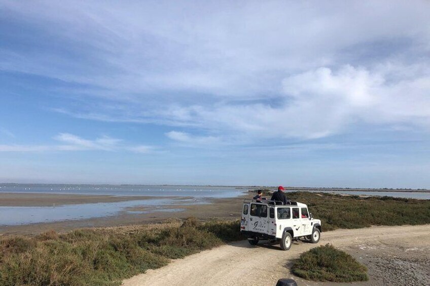 4x4 Camargue Safari