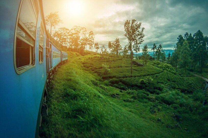 Scenic Train Journey