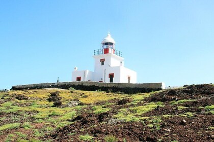 Wild east lighthouse, seashell beach