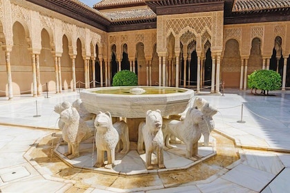 Biglietto per l'Alhambra e tour guidato con i Palazzi Nasridi