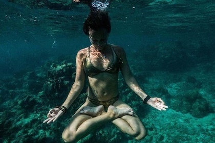 Introduction to Freediving