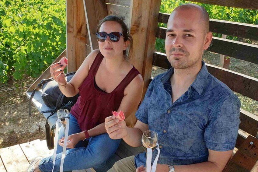 Gourmet walk in the heart of the vineyards with Champagne tasting near Epernay