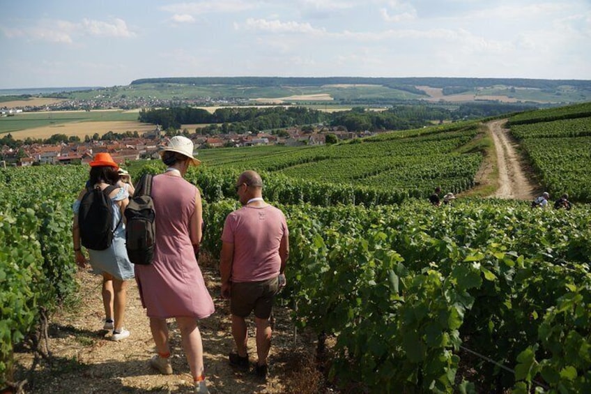 Gourmet walk in the heart of the vineyards with Champagne tasting near Epernay