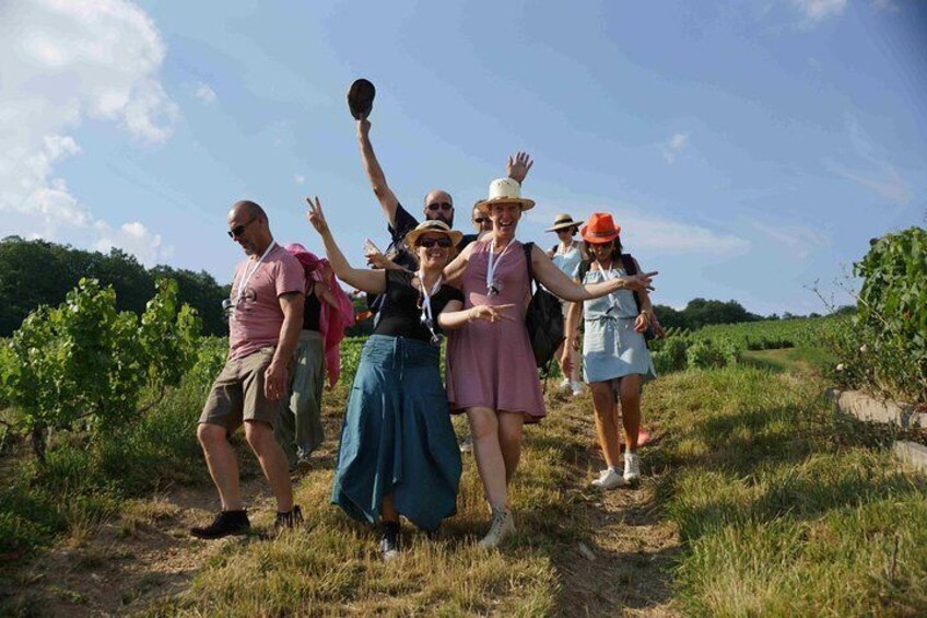 Gourmet walk in the heart of the vineyards with Champagne tasting near Epernay