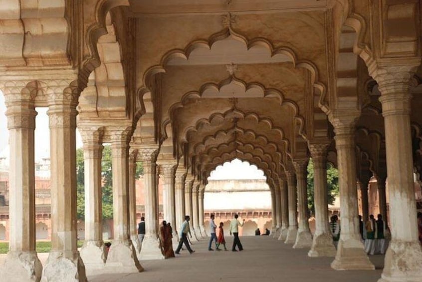 Taj Mahal Tour,india