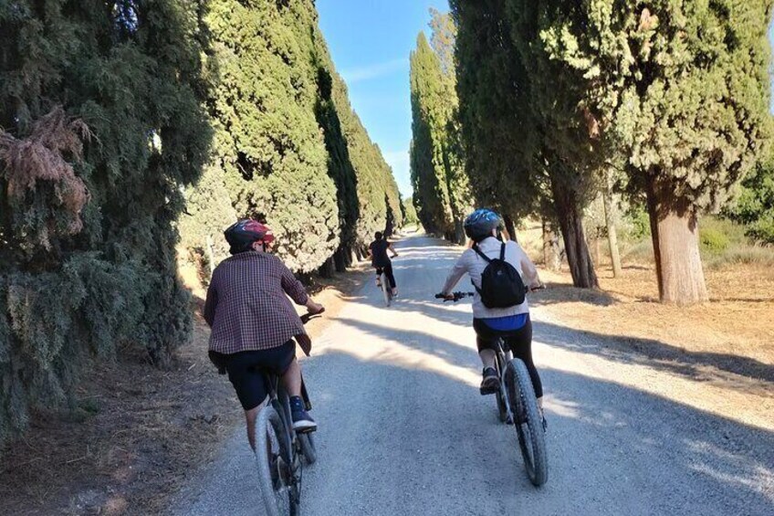 Private E-bike Tour of Via Appia, Catacombs and Aqueducts