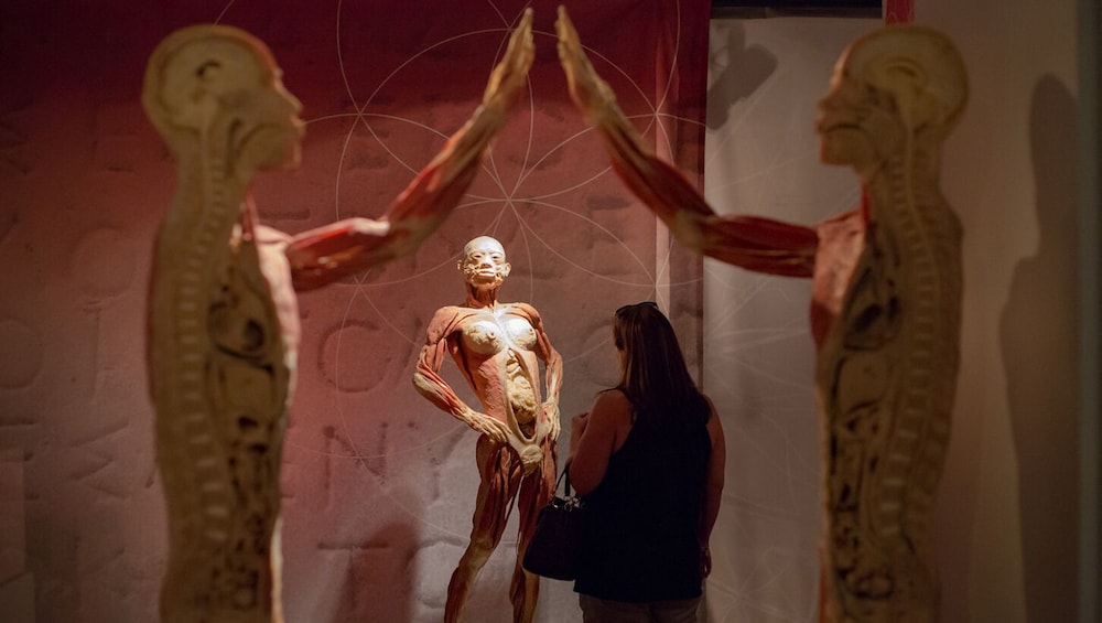 Go Las Vegas Explorer Pass: Choose 2,3,4,5 or 7 Attractions