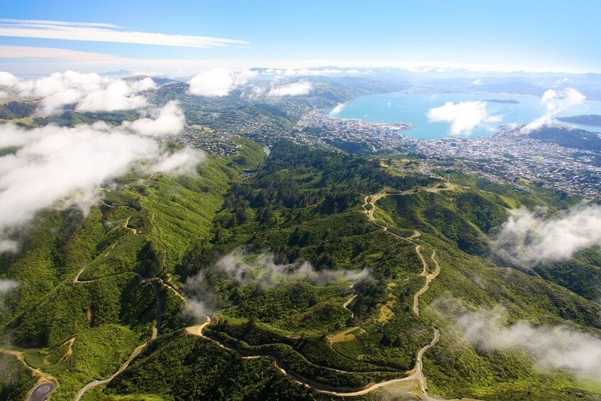 After-Dark Zealandia Wildlife Sanctuary Tour