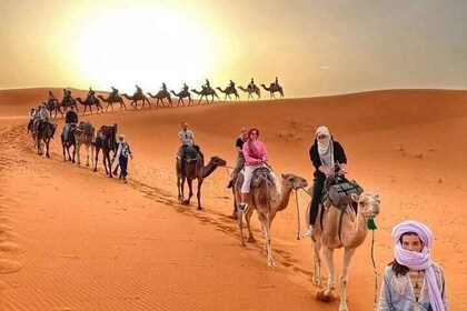 From Marrakech: 3-Day Desert Tour Share-Group And Camel trekking