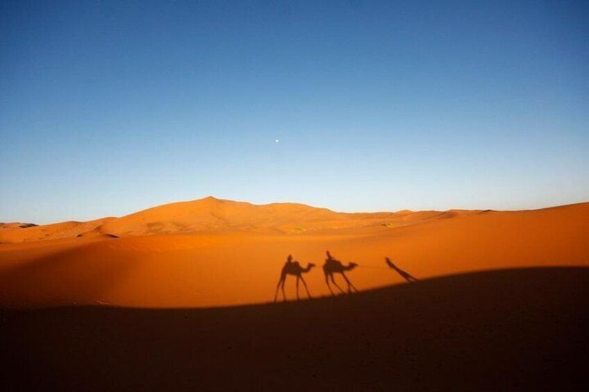 Group tour: Marrakech to Fes 3-day desert tour