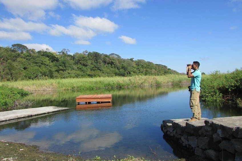 Bird Watching tour
