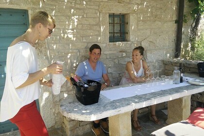 Wine & more Tour , private guided wine tour from ROVINJ & PULA to wine cell...