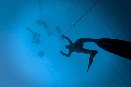 Freediving Training
