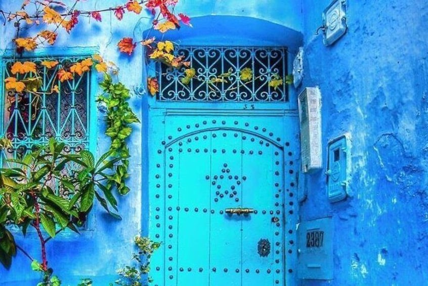 Chefchaouen Bleu City Day Trip from Casablanca.