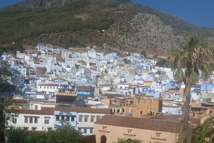 Chefchaouen Bleu City Day Trip from Casablanca.