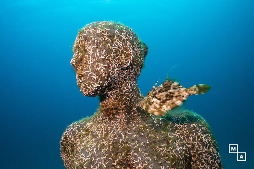 Underwater Museum