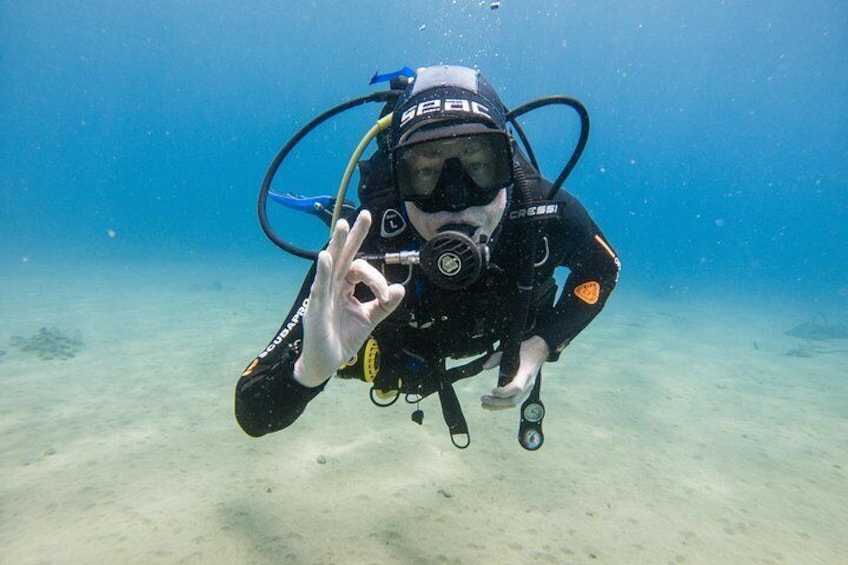 Discover Scuba diving