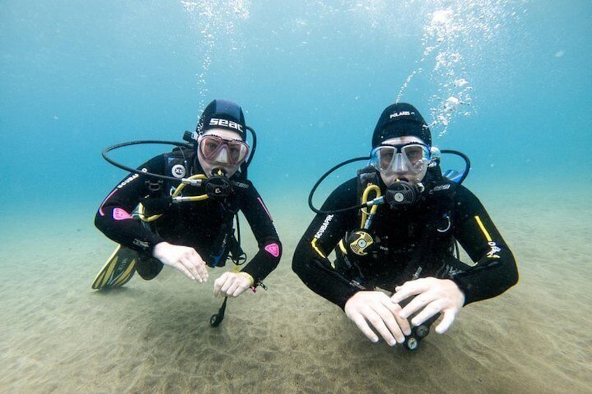 Discover Scuba diving