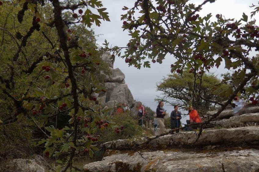 Private Guided Tour to Torcal de Antequera