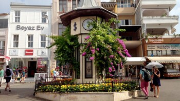 Small-Group Princes' Islands Cruise & Büyükada Walking Tour