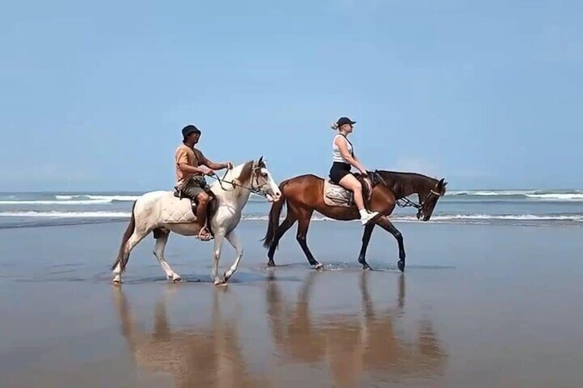 Seminyak Beach Horse Riding in the most beautyfull beach In bali