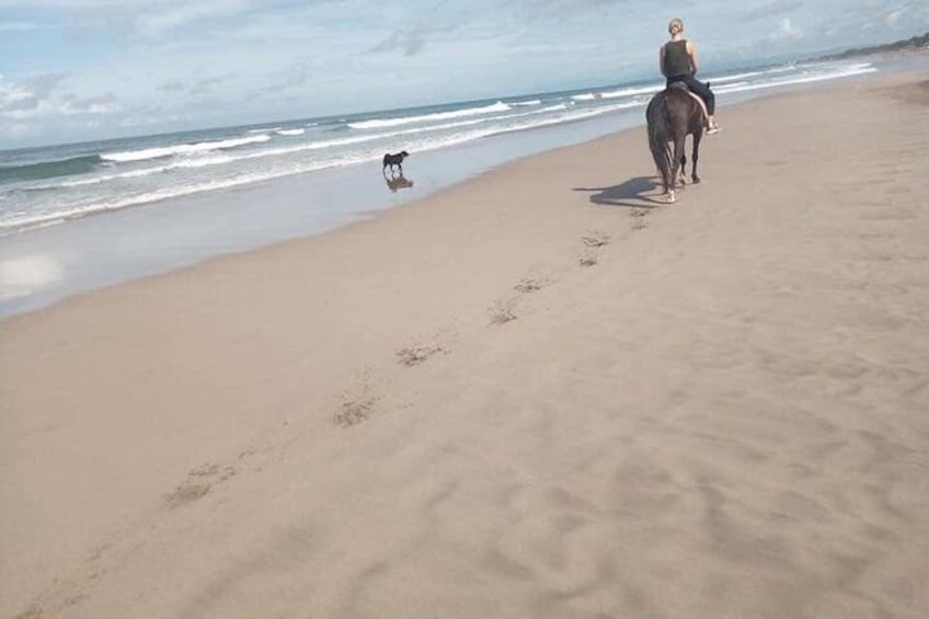 1-Hour Seminyak Beach Horse Riding