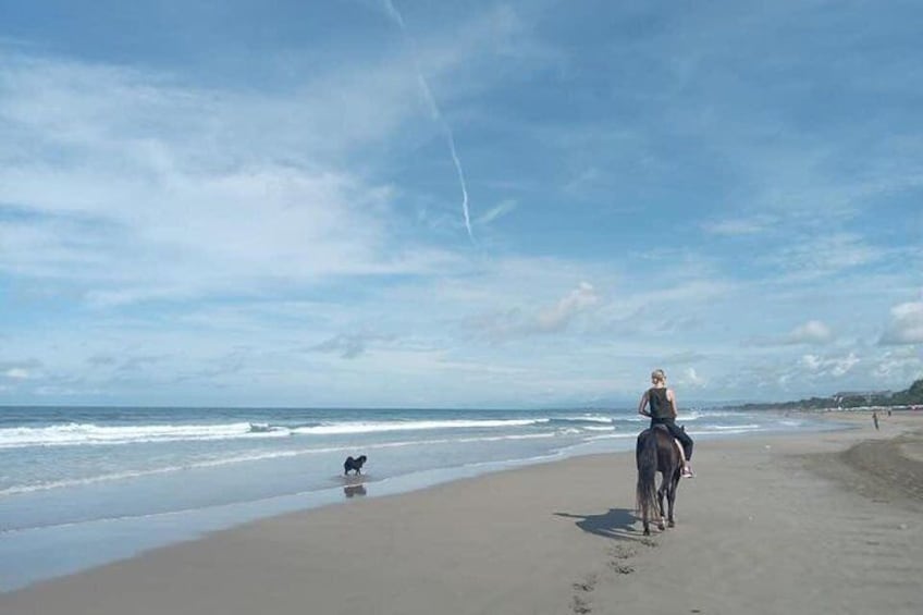 1-Hour Seminyak Beach Horse Riding