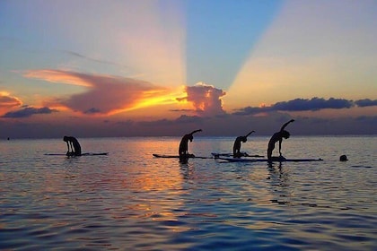 Yoga Paddle Aqua Zen, yoga on a floating carpet in connection with nature!