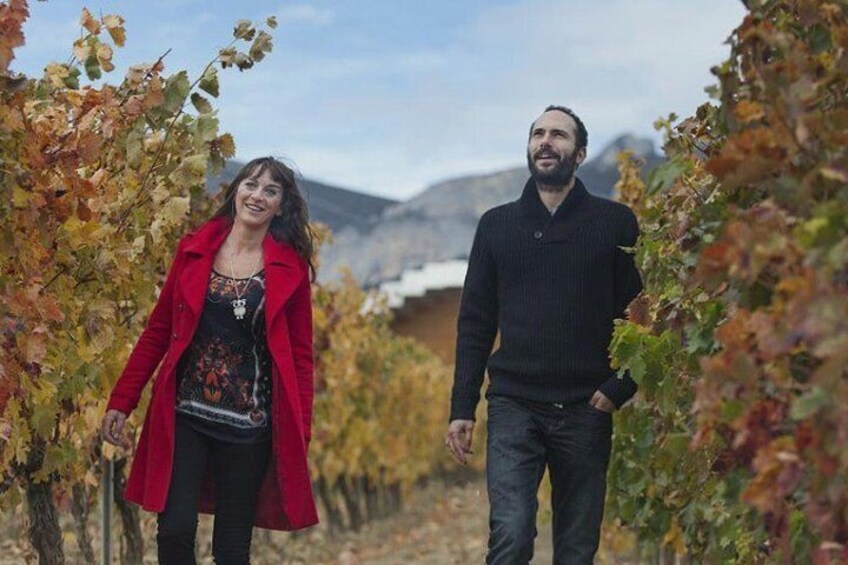 Harvest Experience in Rioja Wine Region