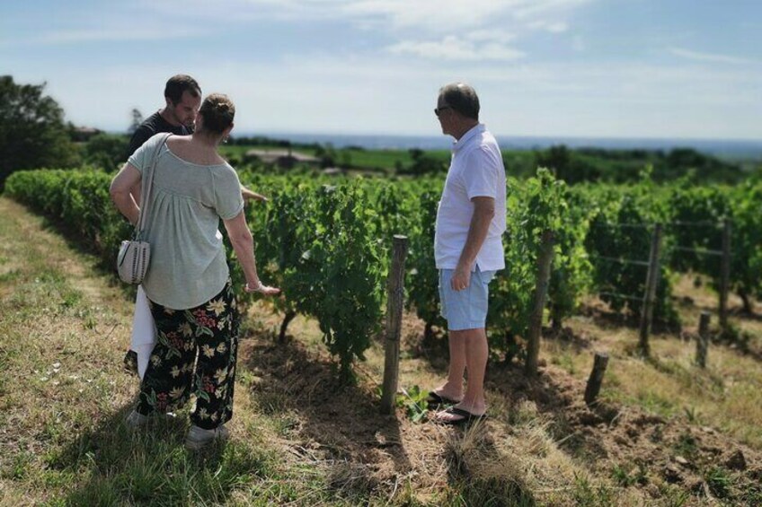 Beaujolais half day 