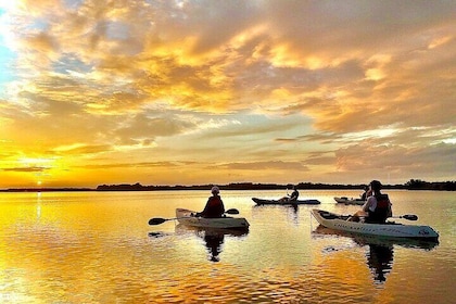 Excursión en kayak al atardecer por túneles de manglares, manatíes y delfin...