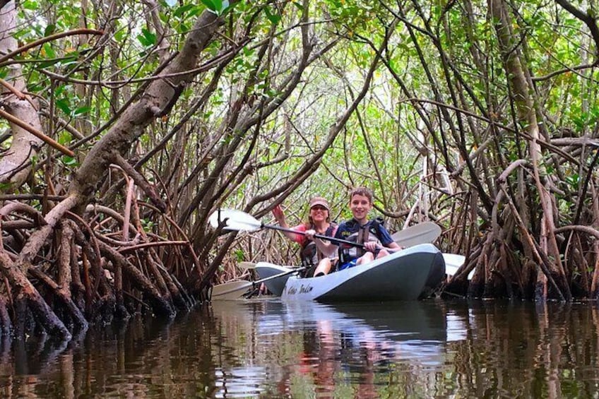 Mangrove Tunnels